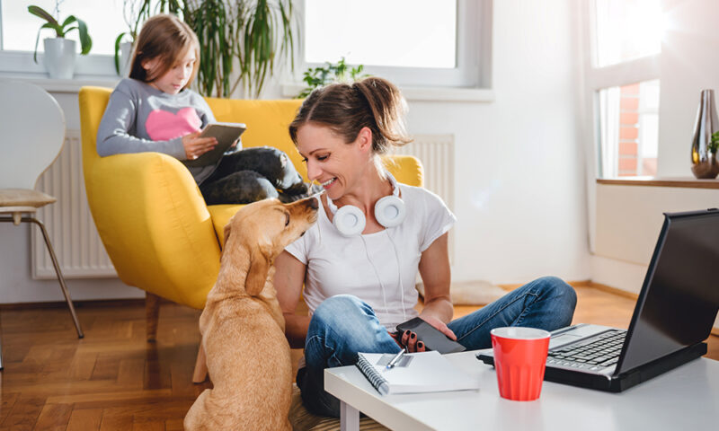 Locked down again?  Working from home? How to cut your tax bill or get a refund.
